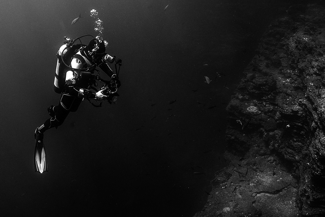 Подводный мир