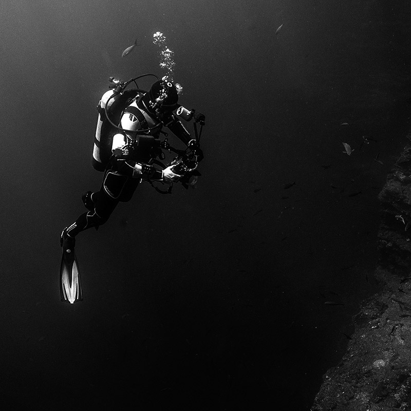 Подводный мир